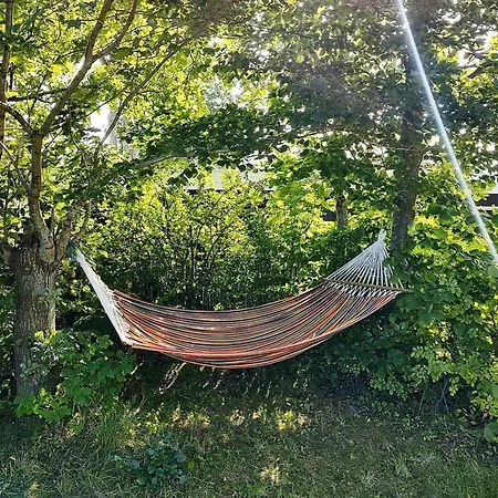 4 Person In